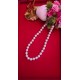 Fresh Water Pearl_Jewellery 
